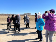 Vår med få vårfåglar
