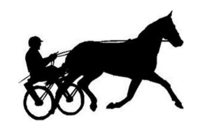 Lunchtrav Axevalla Travbana den 13 november