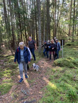 240917 Vandring vid Gälkhyttedammen Sörmlandsleden