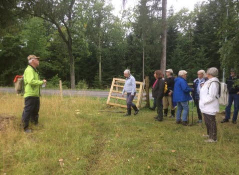 Promenad i Herrängen 2017