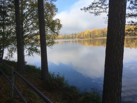 221014 Vandring runt Stavsjön