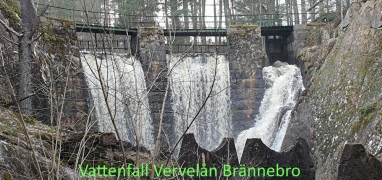 Naturpromenad från Brännebro dammen Gullringen onsdag den 5 aug. kl.10.00
