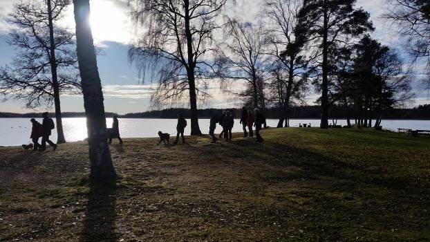 Promenad vid Väringen