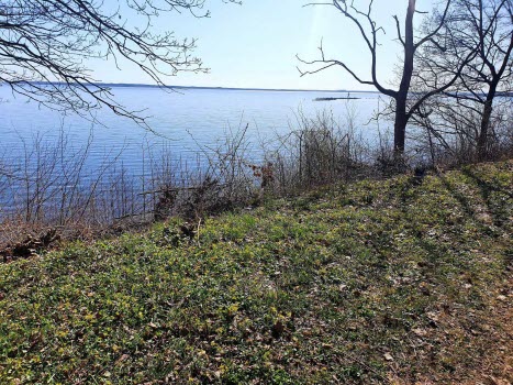 Vårpromenad 2021-04-19