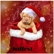 JULFEST torsdag 4/12 kl 15