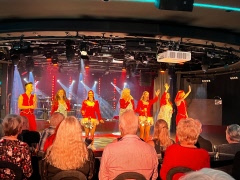 Julbordskryssning med oss seniorer