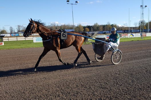 Gunnes väskor, Mantorps travbana och glasbruk 20181025