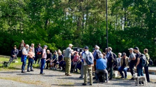 Vandring vid Hackholmssund en strålande försommardag