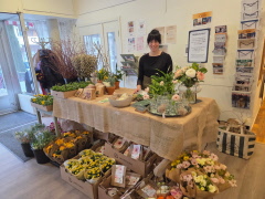 Zinnia – din hållbara blomsterbutik