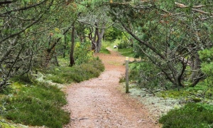 Ändrad tid för tisdagspromenaden den 9 september