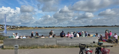 Solig grillfest vid havet