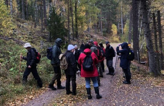 231020 Vandring runt Nävsjön