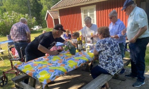 Program i maj