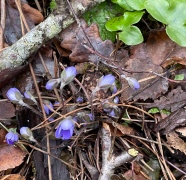 Utbildningar i april