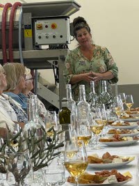 2025-09-10 Studiebesök Allerums Vingård Bild 7.jpg