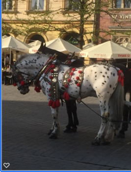 Krakow april 2019