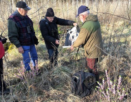 Fågelskådning vid Halla 230427