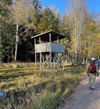 Vandring vid Strandstuviken