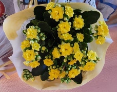 MÅNADSMÖTE NUMMER 3 2026-03-09