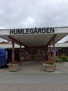 Studieförbundet Vuxenskolan bjuder in till Söndagskafé på Humlegården 4/10 14.00