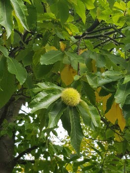 Tysklandsresa 20221002