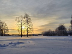 Rapport vinterträff Naturspanarna