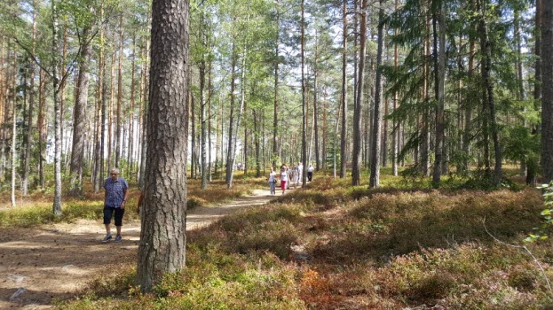 Sommarresa till Malmköping 20180808