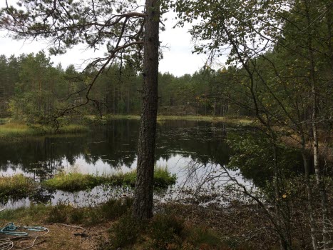 Vandring vid Kärrboda 20180921