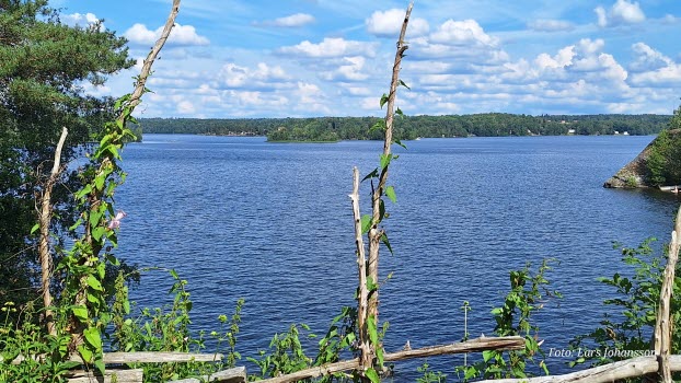 Vårdnäs