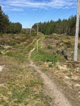 Vandring vid Dambroängen 190531