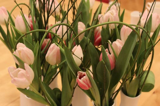 20150219 Årsmöte