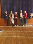 Modevisning i Ås Föreningshus 2026-04-22