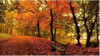 Seniorernas höstmarknad med konst och hantverk