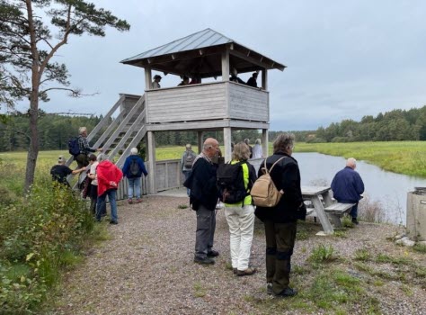 230922 Vandring vid Ålbäck och Långsjön