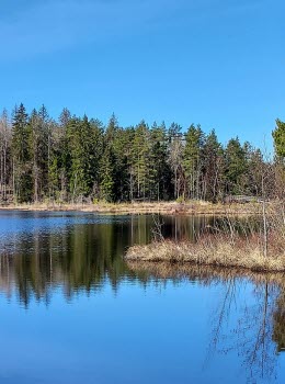 230420 Vandring i Hällefornäs
