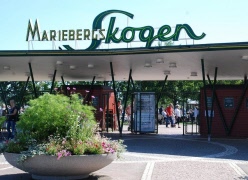 Politikerutfrågning 11 augusti i Holken, Mariebergsskogen