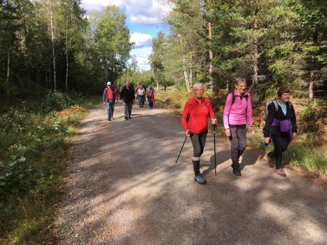 240913 Vandring till Björken