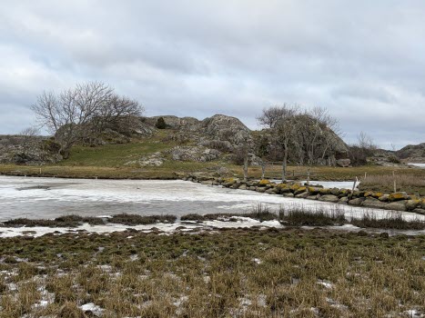 Toftenäs 