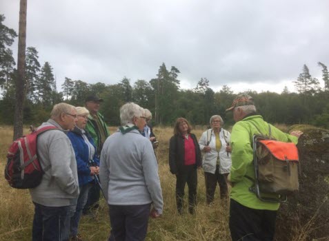 Promenad i Herrängen 2017