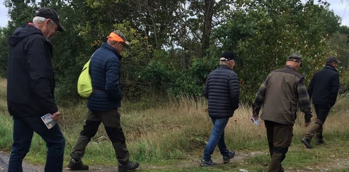 Promenad i Stenslanda