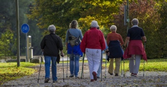Promenader/stavgång september 2026