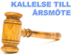 Årsmöte 2026