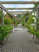 7/5: Glöm inte att anmäla till Flädie Mat & Vingård.