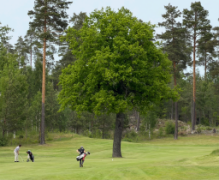 Inbjudan till DM i Golf den 15 juli i Strängnäs