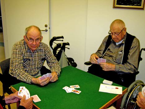 2012. Kortspel