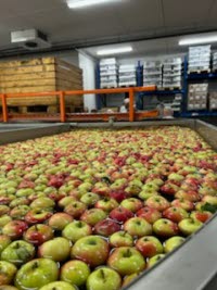 Uti det blå - hösten 2025 - bild 3.jpg