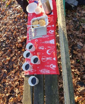 Promenad 20201123