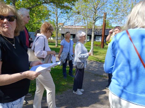 Friskvårdsaktivitet 2026-05-20