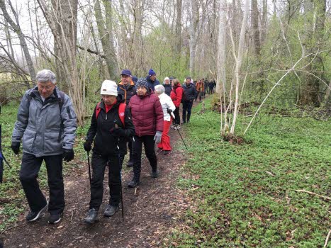 240419 Vandring i Lindudden naturreservat