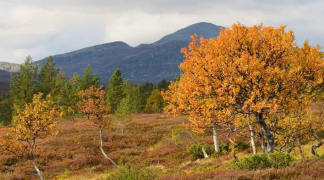 Resa med SPF Medelpad till Jämtland och Storlien 7-9 september